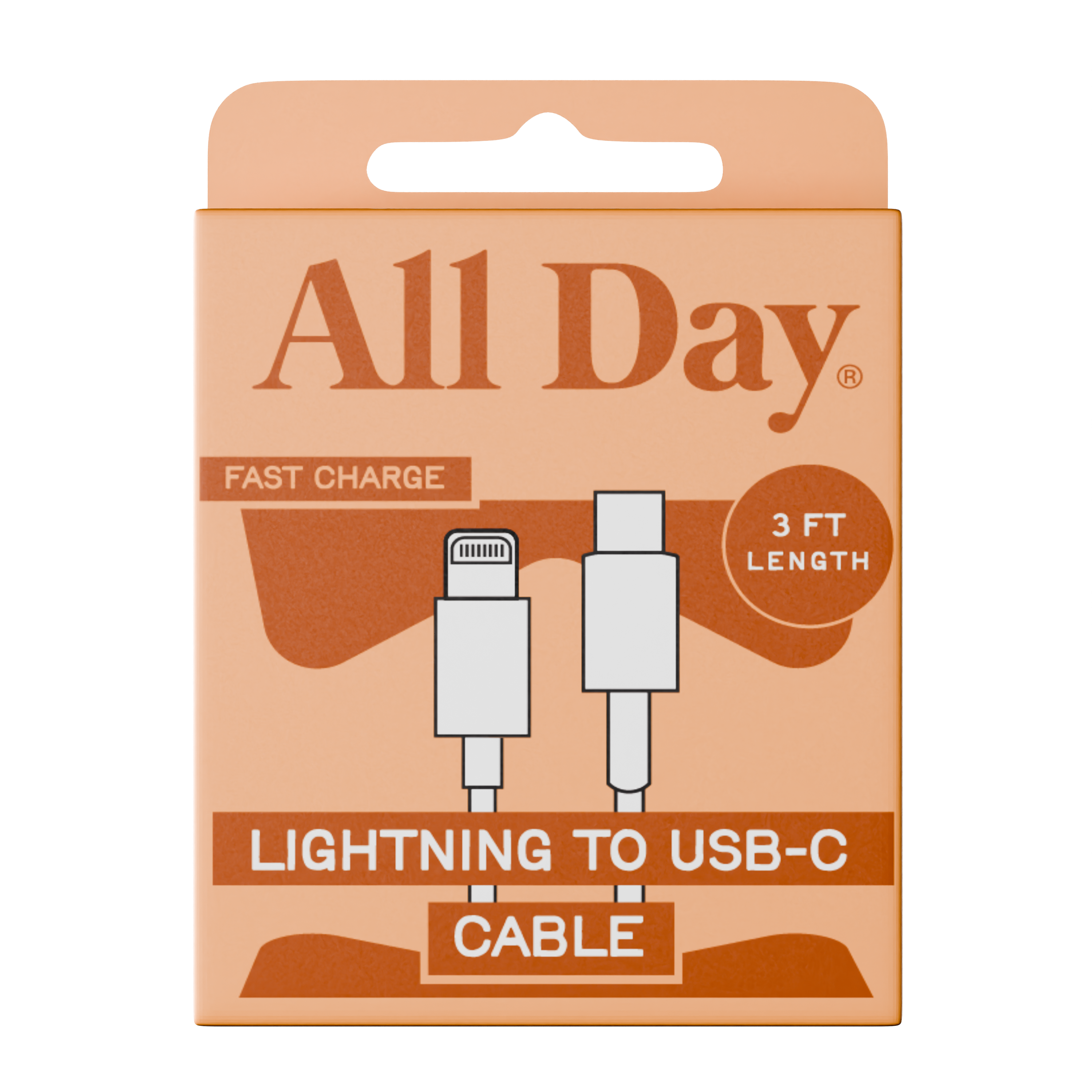 3ft Lightning to USB-C cable
